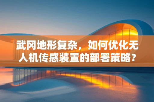 武冈地形复杂，如何优化无人机传感装置的部署策略？