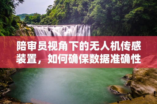 陪审员视角下的无人机传感装置，如何确保数据准确性与公正性？