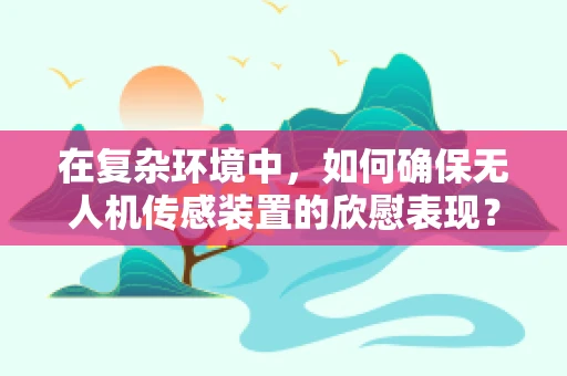 在复杂环境中，如何确保无人机传感装置的欣慰表现？