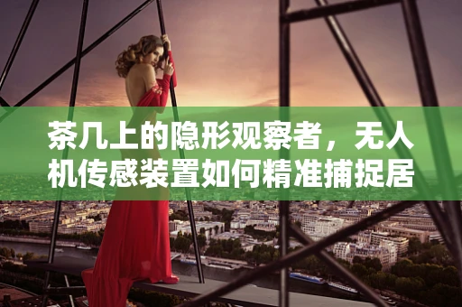 茶几上的隐形观察者，无人机传感装置如何精准捕捉居家细节？