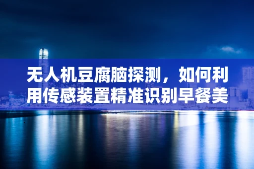 无人机豆腐脑探测，如何利用传感装置精准识别早餐美味？