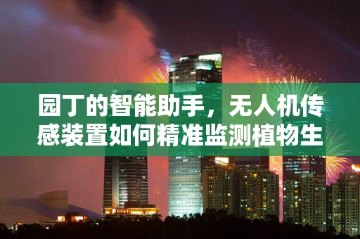 园丁的智能助手，无人机传感装置如何精准监测植物生长？