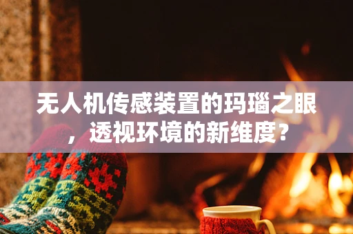 无人机传感装置的玛瑙之眼，透视环境的新维度？