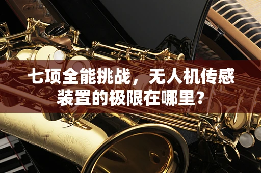 七项全能挑战，无人机传感装置的极限在哪里？