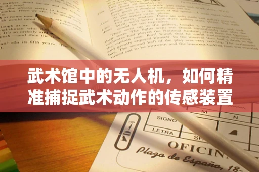 武术馆中的无人机，如何精准捕捉武术动作的传感装置挑战？
