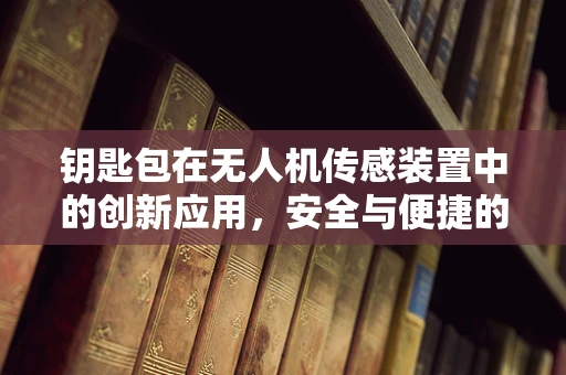 钥匙包在无人机传感装置中的创新应用，安全与便捷的双重挑战