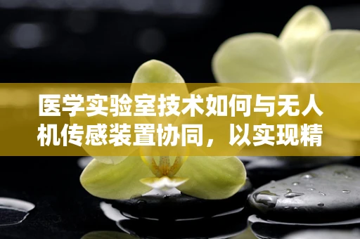 医学实验室技术如何与无人机传感装置协同，以实现精准医疗的未来？