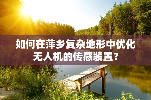 如何在萍乡复杂地形中优化无人机的传感装置？
