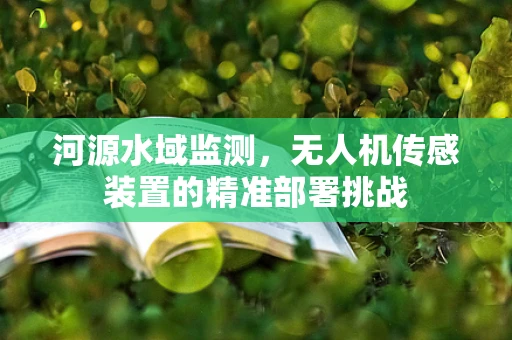 河源水域监测，无人机传感装置的精准部署挑战