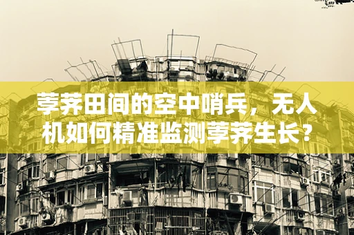 荸荠田间的空中哨兵，无人机如何精准监测荸荠生长？