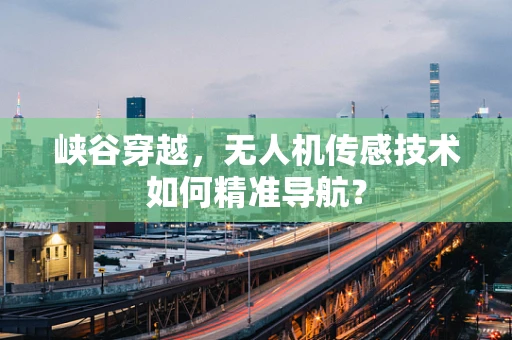 峡谷穿越，无人机传感技术如何精准导航？