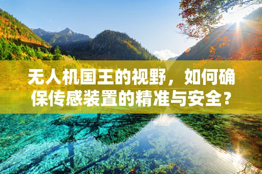 无人机国王的视野，如何确保传感装置的精准与安全？