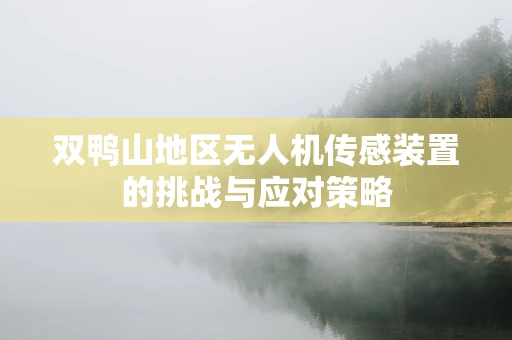 双鸭山地区无人机传感装置的挑战与应对策略