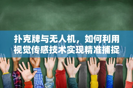 扑克牌与无人机，如何利用视觉传感技术实现精准捕捉？