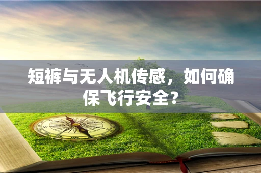 短裤与无人机传感，如何确保飞行安全？