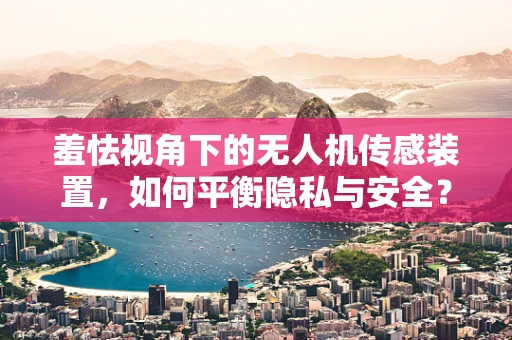 羞怯视角下的无人机传感装置，如何平衡隐私与安全？