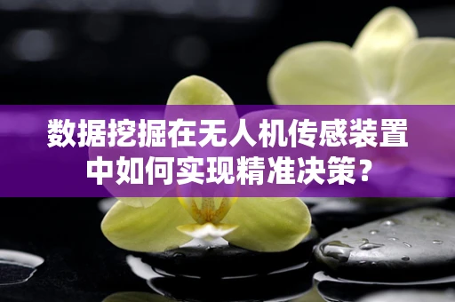 数据挖掘在无人机传感装置中如何实现精准决策？