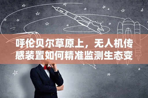呼伦贝尔草原上，无人机传感装置如何精准监测生态变化？
