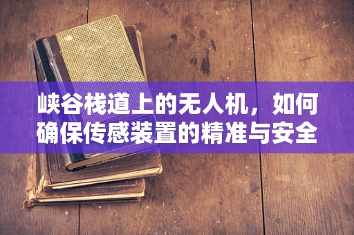 峡谷栈道上的无人机，如何确保传感装置的精准与安全？
