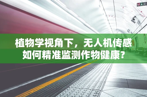 植物学视角下，无人机传感如何精准监测作物健康？