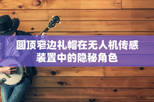 圆顶窄边礼帽在无人机传感装置中的隐秘角色