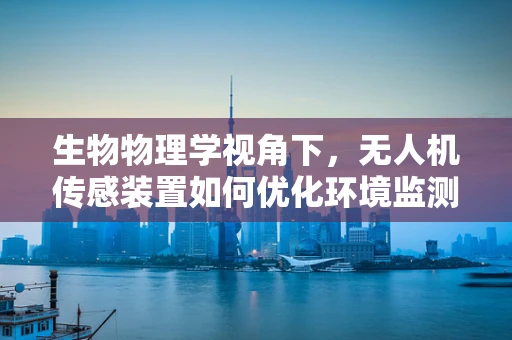 生物物理学视角下，无人机传感装置如何优化环境监测的精准度？