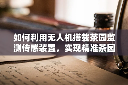如何利用无人机搭载茶园监测传感装置，实现精准茶园管理？