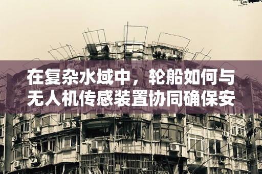 在复杂水域中，轮船如何与无人机传感装置协同确保安全航行？
