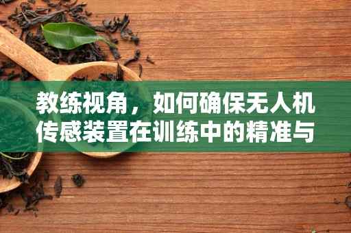 教练视角，如何确保无人机传感装置在训练中的精准与安全？