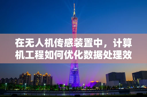 在无人机传感装置中，计算机工程如何优化数据处理效率？