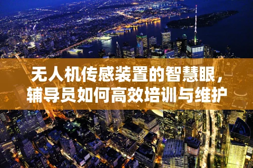 无人机传感装置的智慧眼，辅导员如何高效培训与维护？