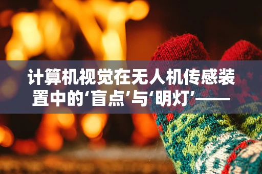 计算机视觉在无人机传感装置中的‘盲点’与‘明灯’——如何提升其环境适应能力？