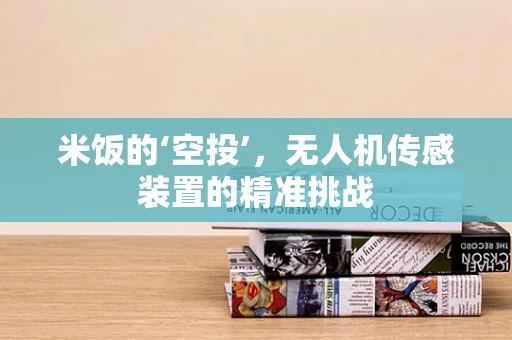 米饭的‘空投’，无人机传感装置的精准挑战