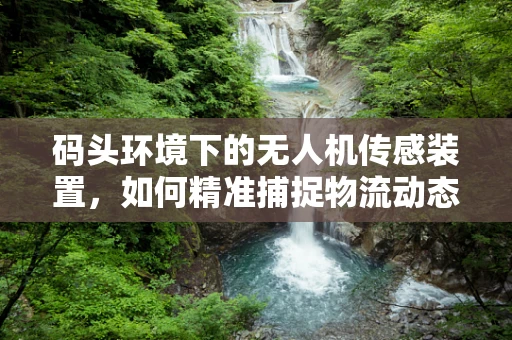 码头环境下的无人机传感装置，如何精准捕捉物流动态？