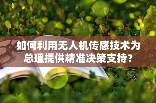 如何利用无人机传感技术为总理提供精准决策支持？