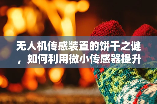 无人机传感装置的饼干之谜，如何利用微小传感器提升飞行稳定性？