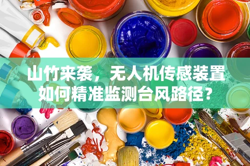 山竹来袭，无人机传感装置如何精准监测台风路径？