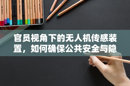 官员视角下的无人机传感装置，如何确保公共安全与隐私的平衡？