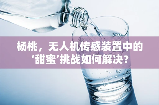 杨桃，无人机传感装置中的‘甜蜜’挑战如何解决？