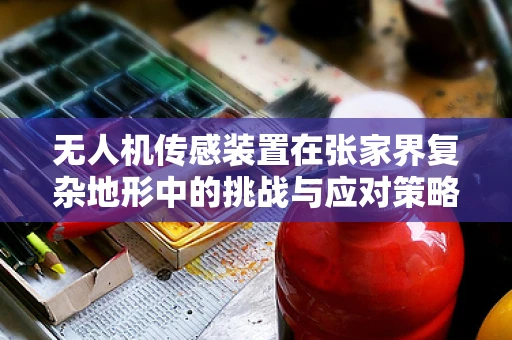无人机传感装置在张家界复杂地形中的挑战与应对策略