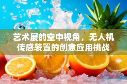 艺术展的空中视角，无人机传感装置的创意应用挑战
