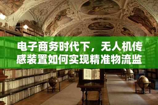 电子商务时代下，无人机传感装置如何实现精准物流监控？