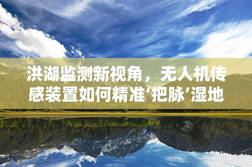 洪湖监测新视角，无人机传感装置如何精准‘把脉’湿地生态？