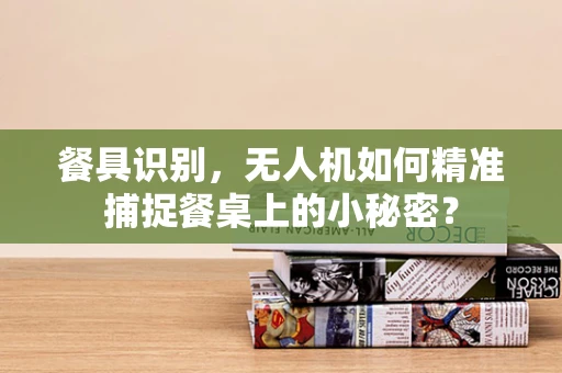 餐具识别，无人机如何精准捕捉餐桌上的小秘密？