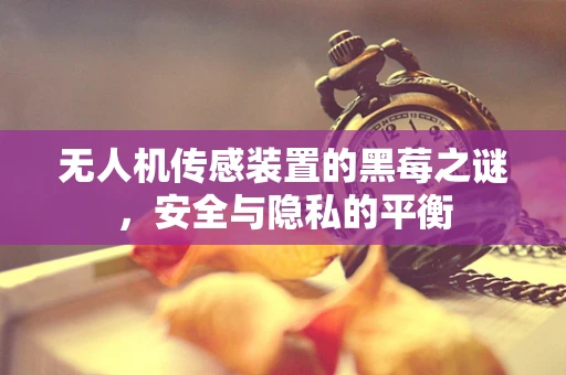 无人机传感装置的黑莓之谜，安全与隐私的平衡
