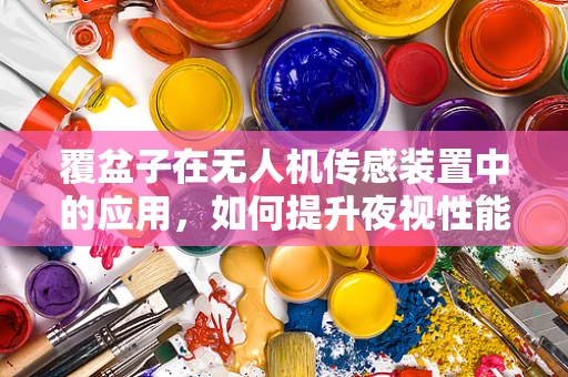 覆盆子在无人机传感装置中的应用，如何提升夜视性能？