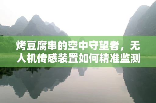 烤豆腐串的空中守望者，无人机传感装置如何精准监测烧烤温度？