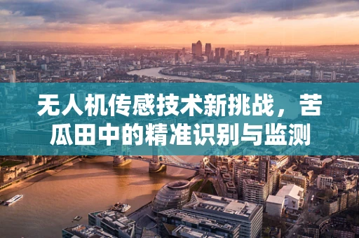 无人机传感技术新挑战，苦瓜田中的精准识别与监测