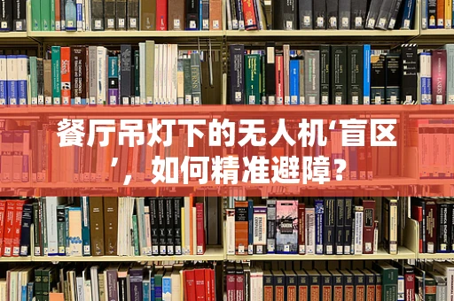 餐厅吊灯下的无人机‘盲区’，如何精准避障？