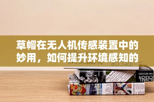 草帽在无人机传感装置中的妙用，如何提升环境感知的准确性？